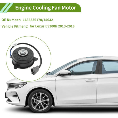 Radiator Fan Motor for Lexus ES300h (2013-2018) 1 x Quality Replacement