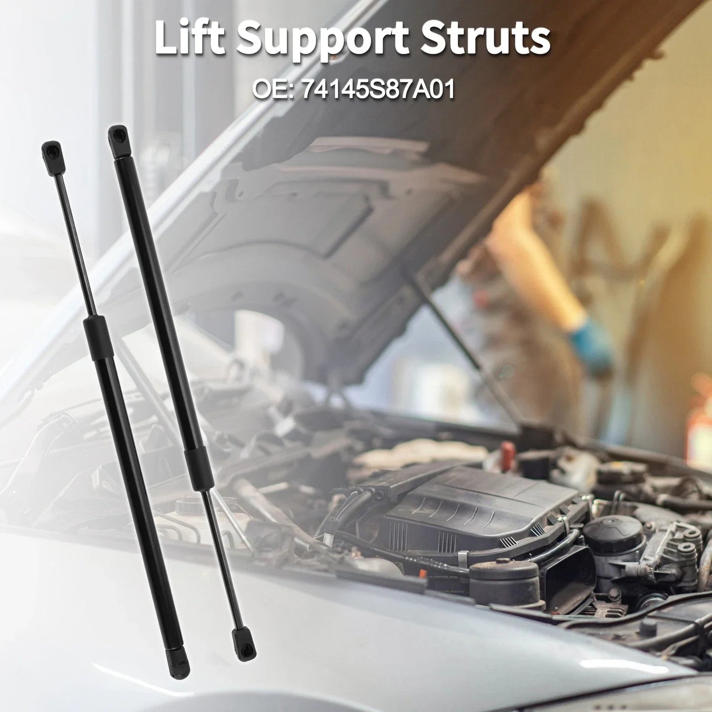 Hood Lift Supports Struts Gas Springs for Honda Accord (2018-2023)