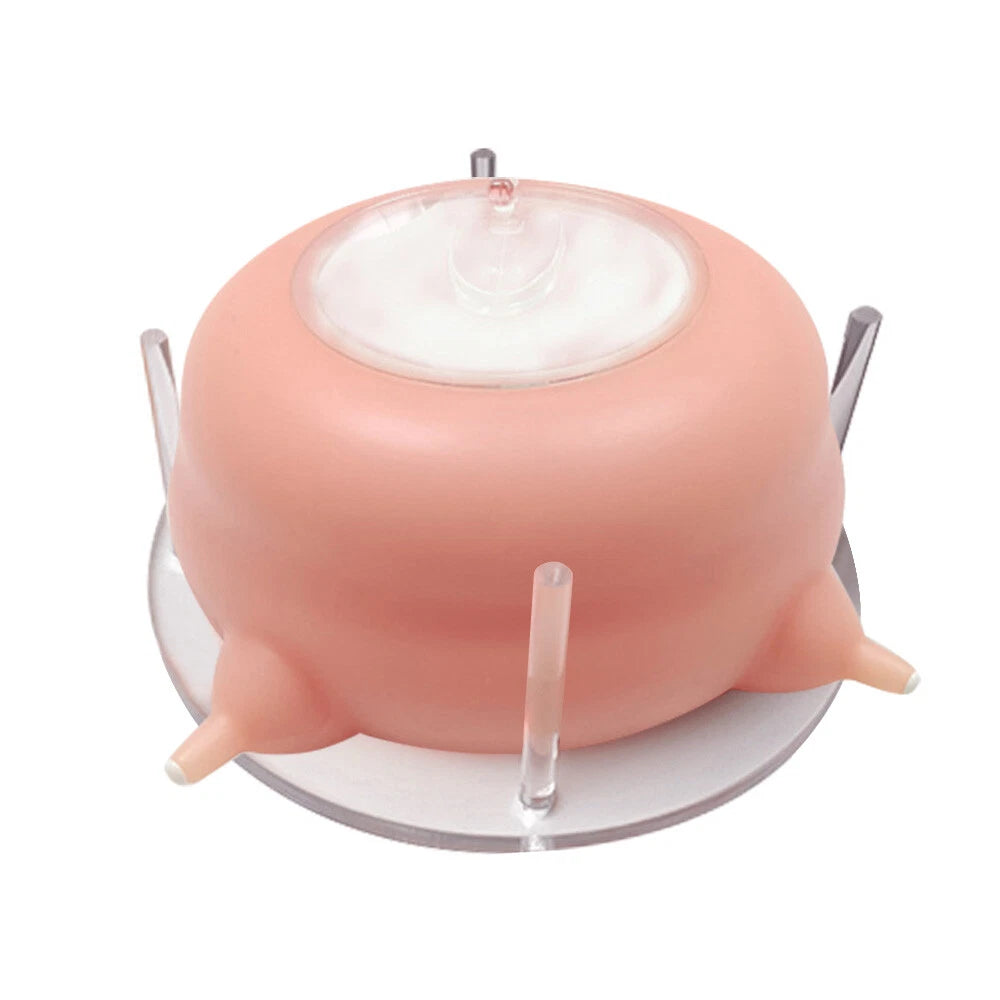 Silicone Puppy Milk Feeder Nipple Bowl for Newborns