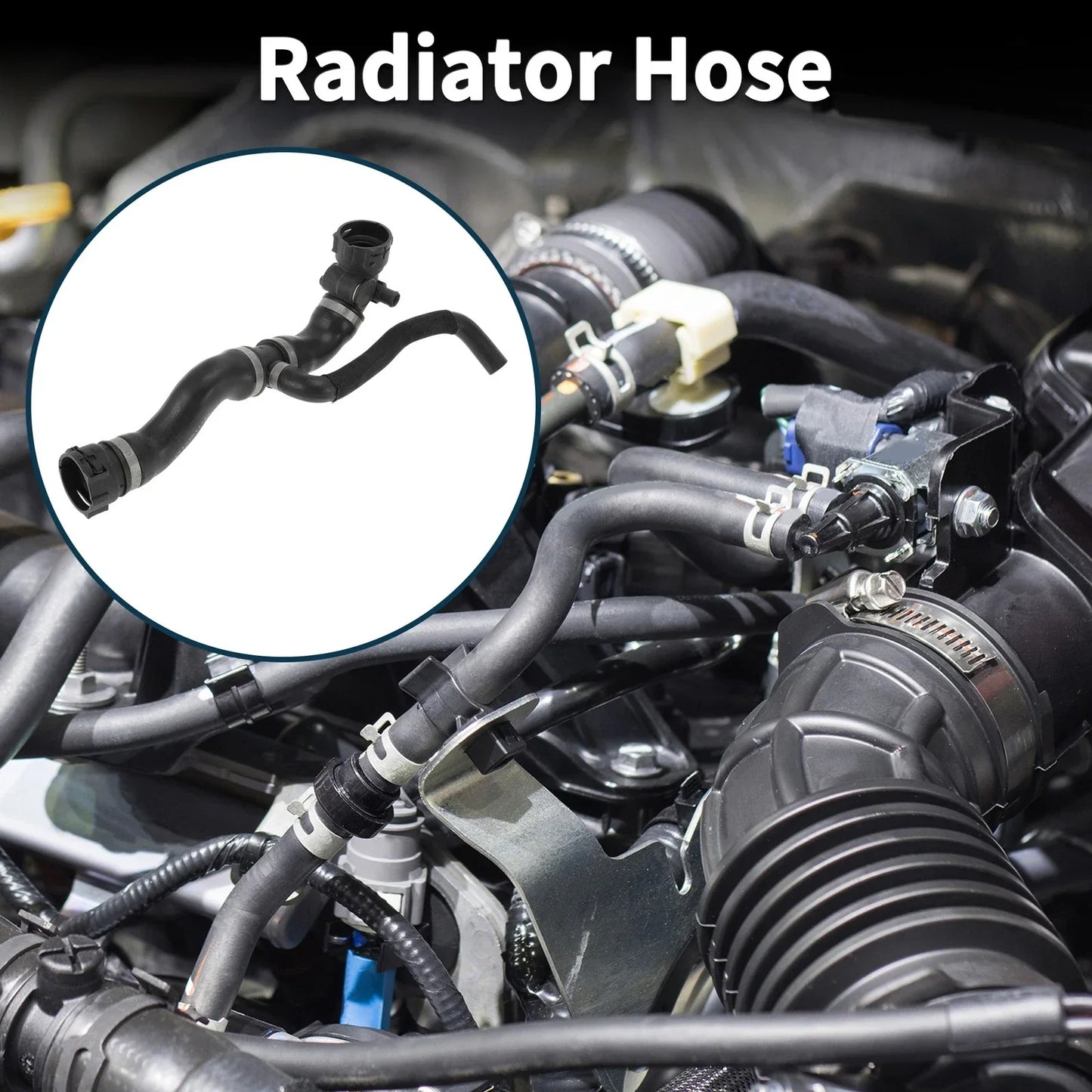 Radiator Hose for BMW 760Li 6.0L (2009-2015)