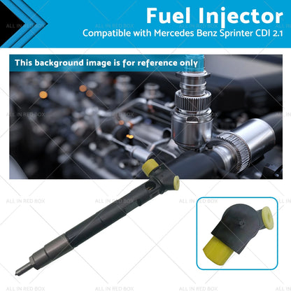 Fuel Injector for Delphi Benz (28307309)