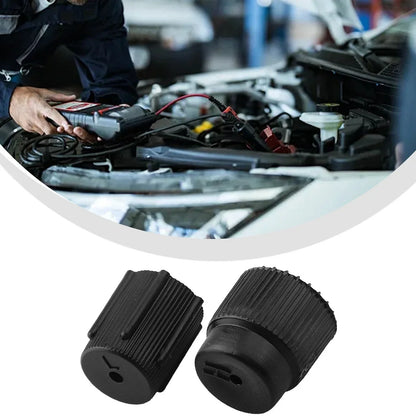 2 x Dust-Covers Car AC Valve Cap