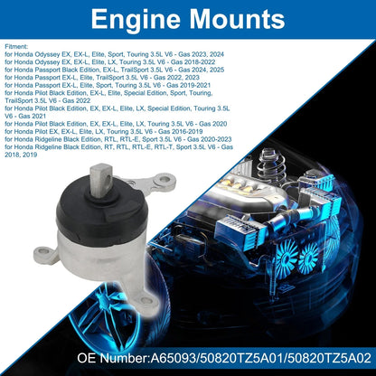 Engine Motor Mount for Honda Odyssey EX 3.5L V6 (2023-2024)