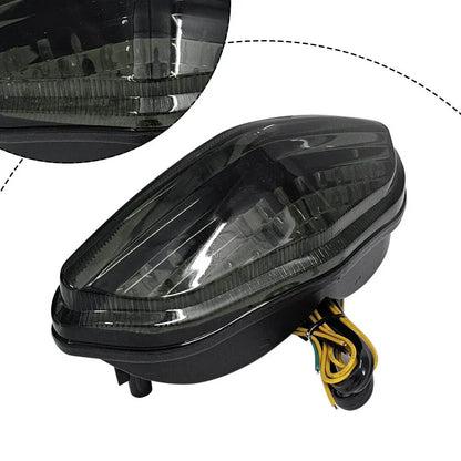 LED Tail Light for Suzuki V-Strom DL 650 (2004-2009)