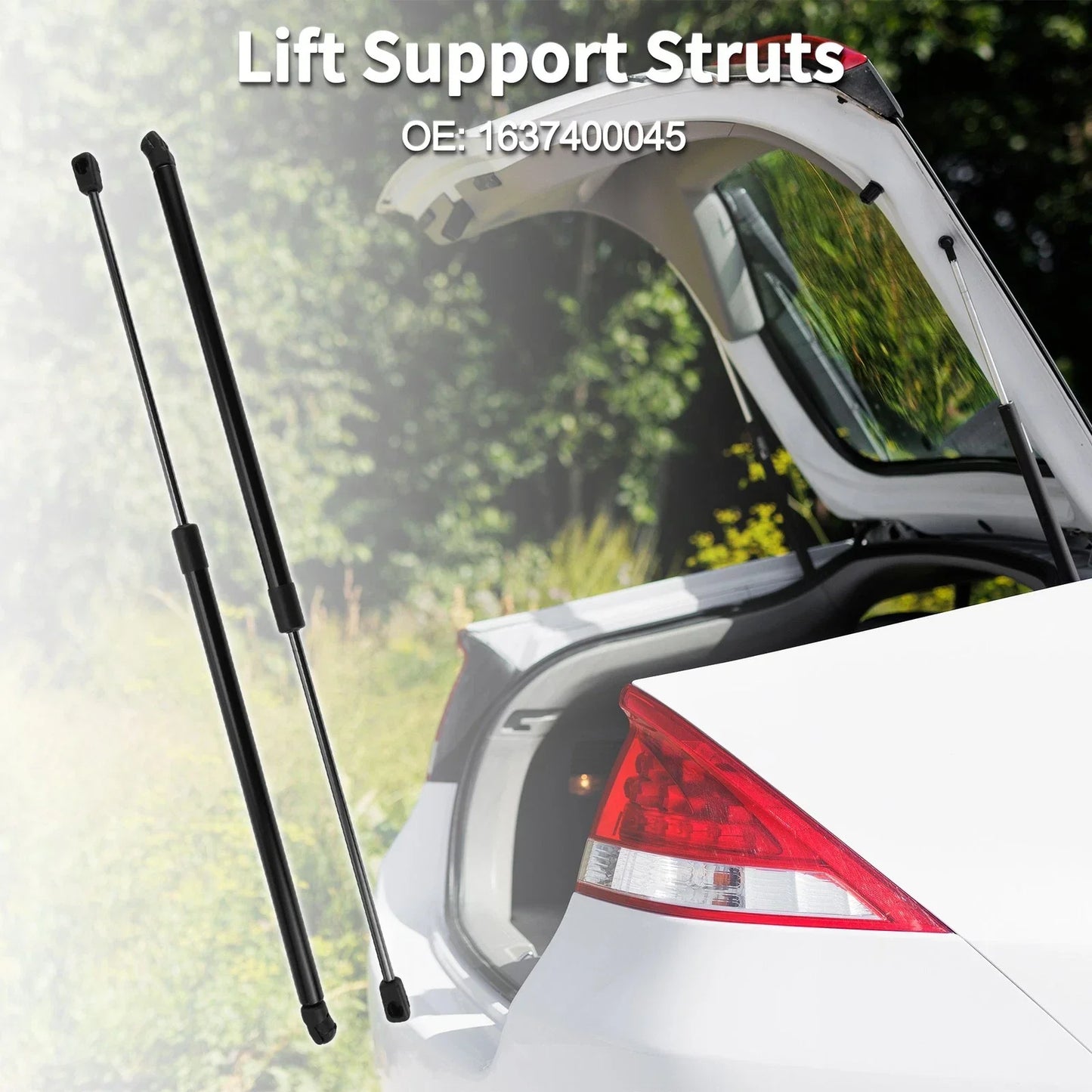 Rear Hatch Lift Supports for Mercedes-Benz ML320 (2000-2005)
