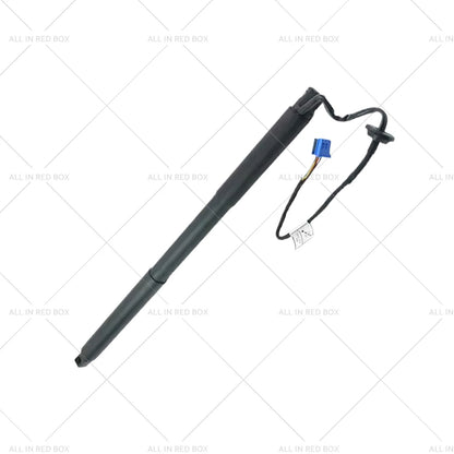 Gas Strut for Mercedes Benz W166 ML350 (2012-2015)