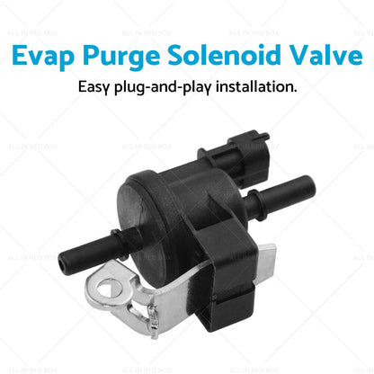 Evap Purge Solenoid Valve for Holden VE S1 Commodore SV6 V6 3.6 (2006-2013)