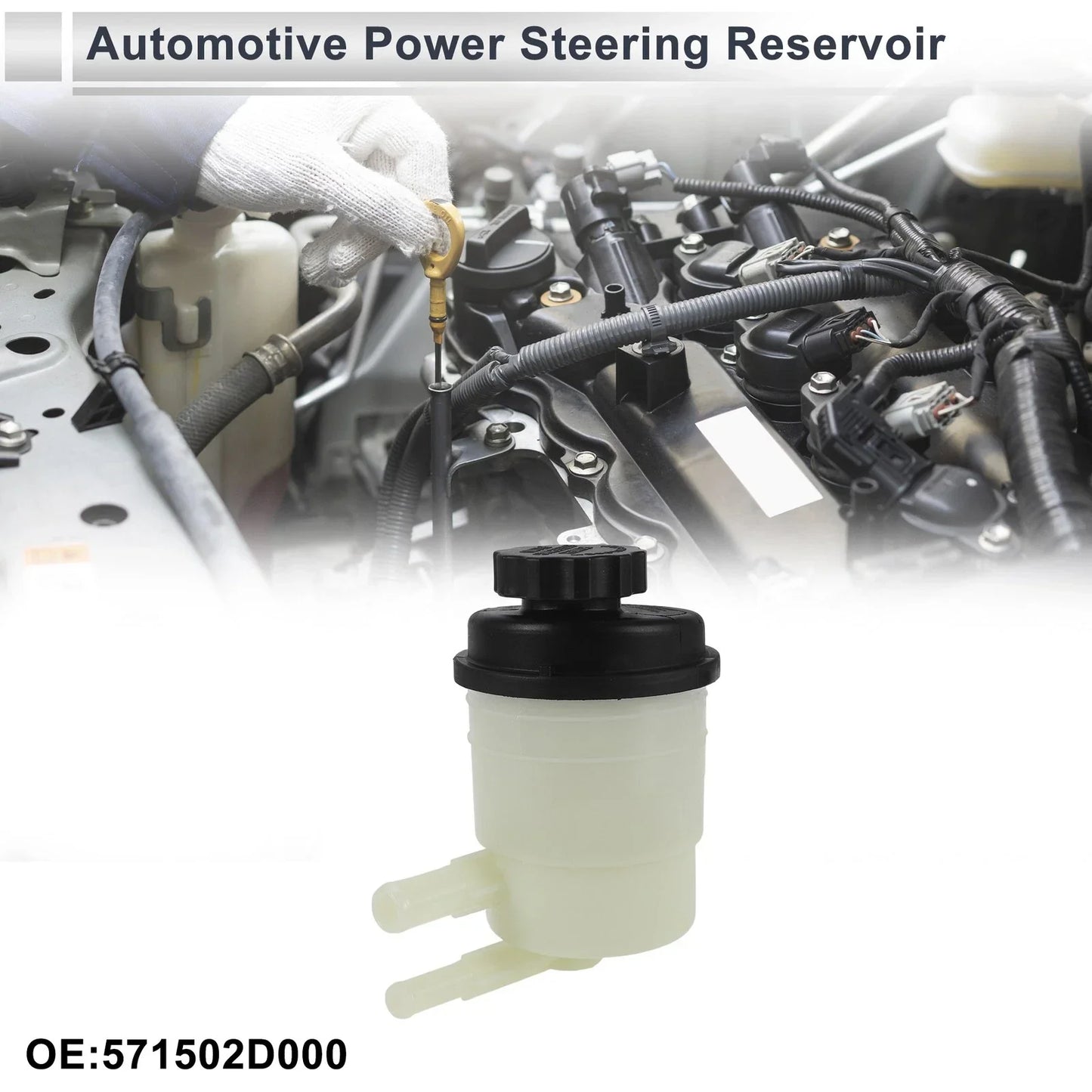 Power Steering Reservoir for Hyundai Elantra (2001-2006) 1 x Unit
