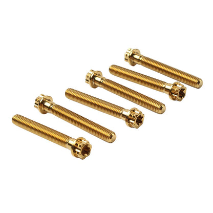 6 x M8x45mm Titanium Torx Head Flange Screws for Motorcycle Bike