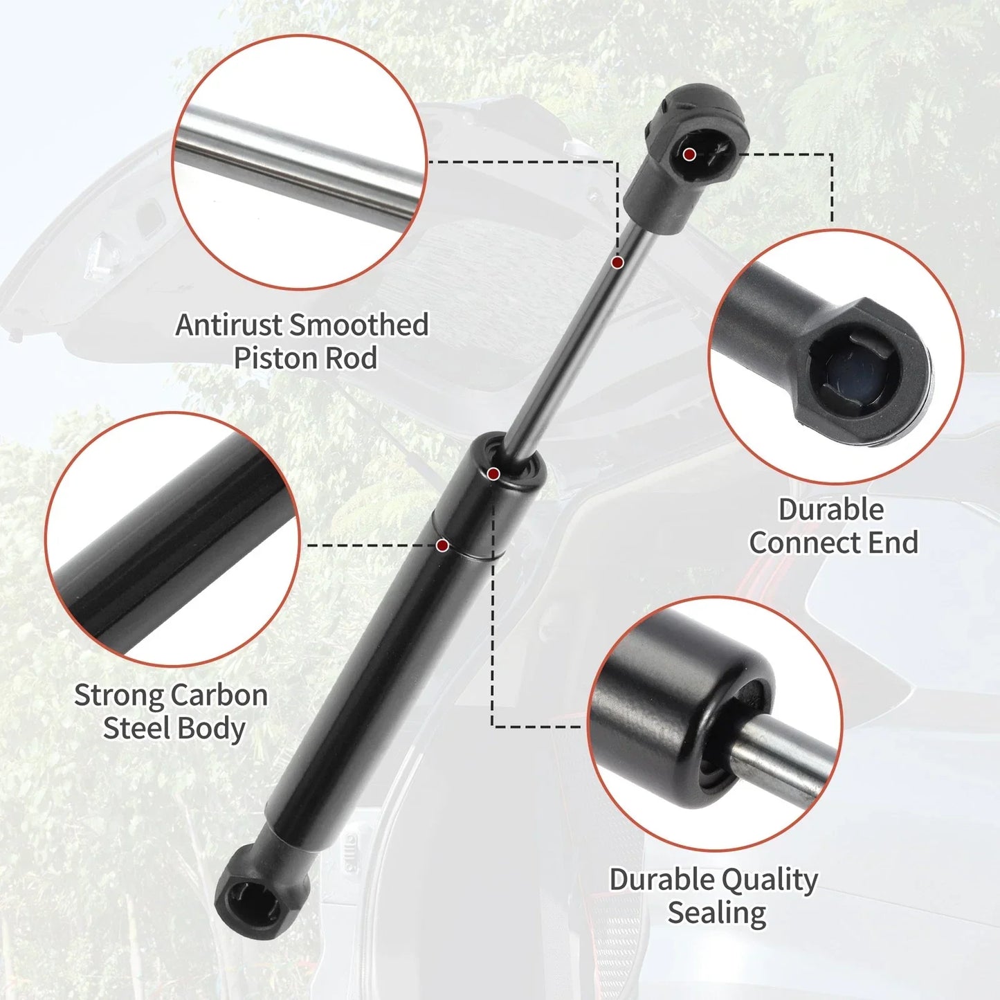 Rear Hatch Lift Supports for Porsche Boxster Convertible (1997-2004)