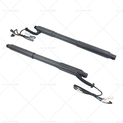 Gas Strut for BMW X5 E70 (2006-2013)