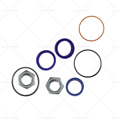 Hydraulic Cylinder Seal Kit for Bobcat A300 S220 S250 S300 S330 T250