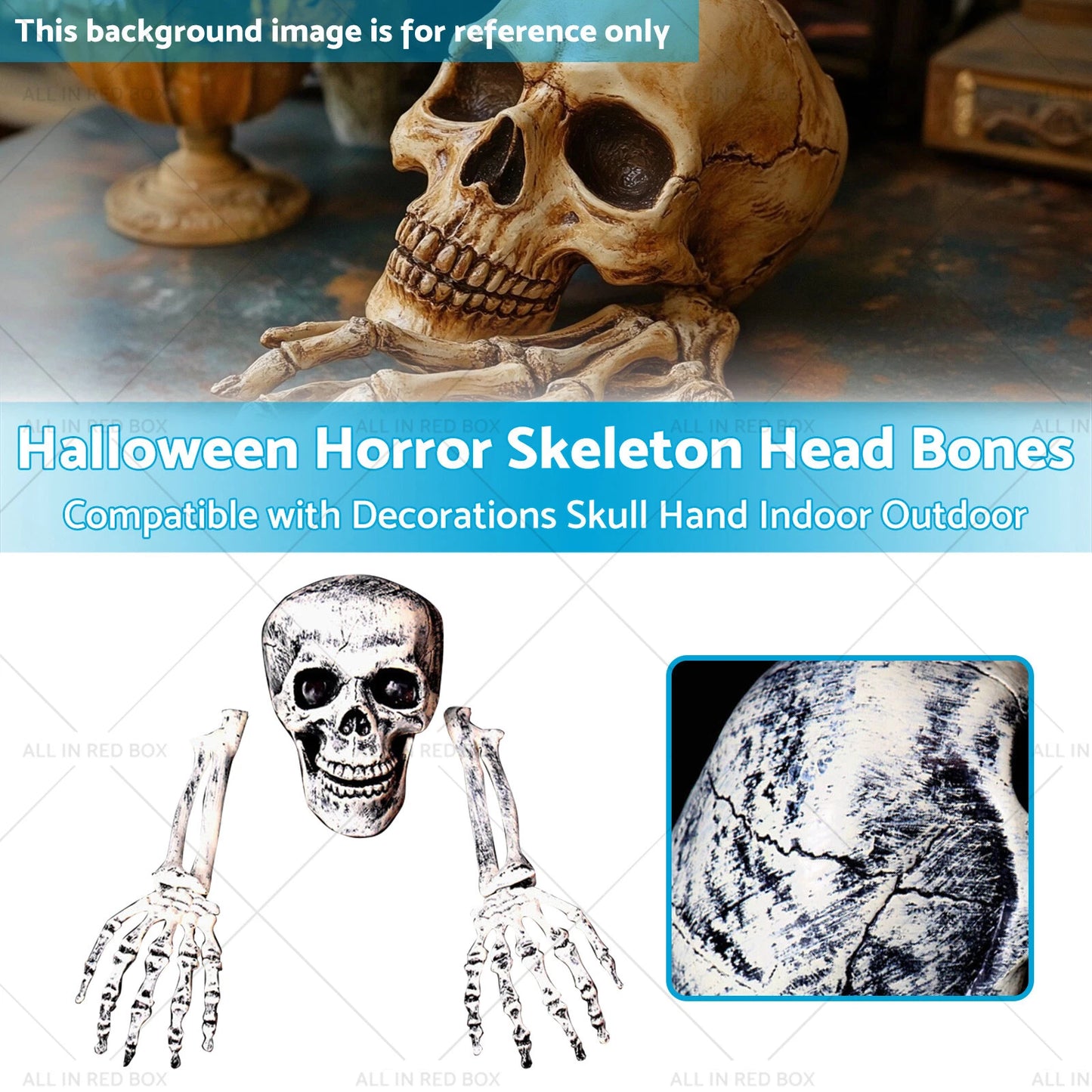 Halloween Skeleton Head Bones Decorations for Indoor Outdoor Use