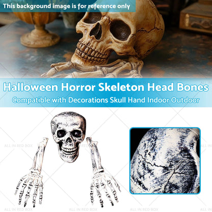 Halloween Skeleton Head Bones Decorations for Indoor Outdoor Use