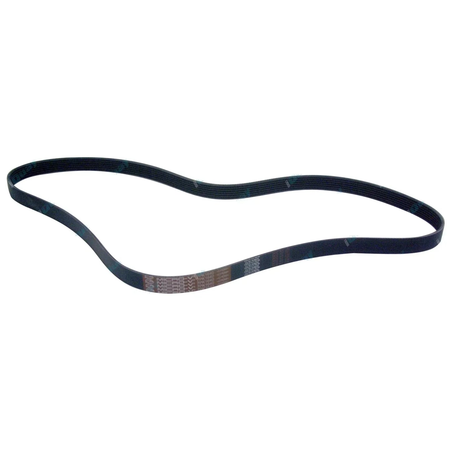 Engine Drive Fan Belt 3.0L Turbo Diesel