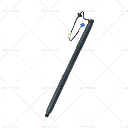 Gas Strut for Mercedes Benz W166 ML350 (2012-2015)