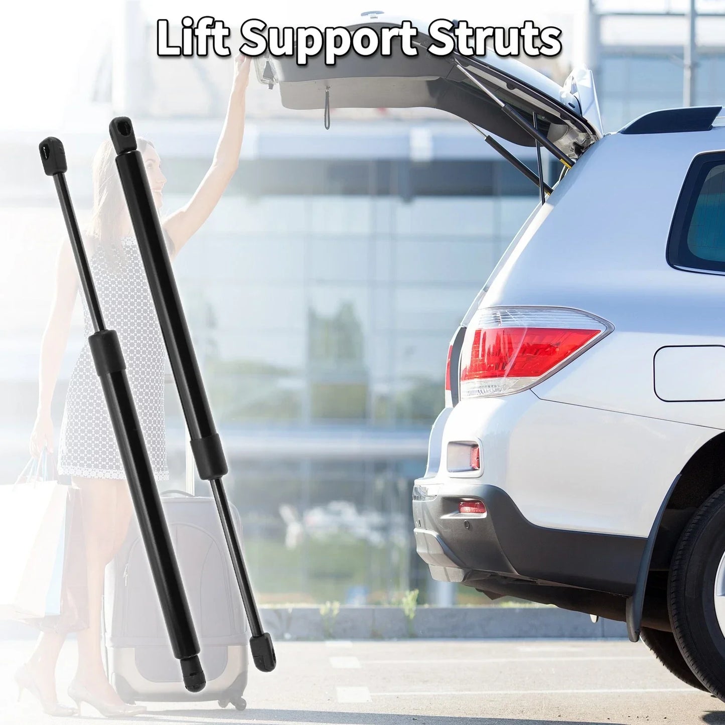 Rear Gate Lift Supports for Dodge Magnum (2005-2010)