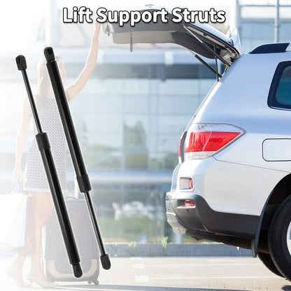 Rear Gate Lift Supports for Dodge Magnum (2005-2010)