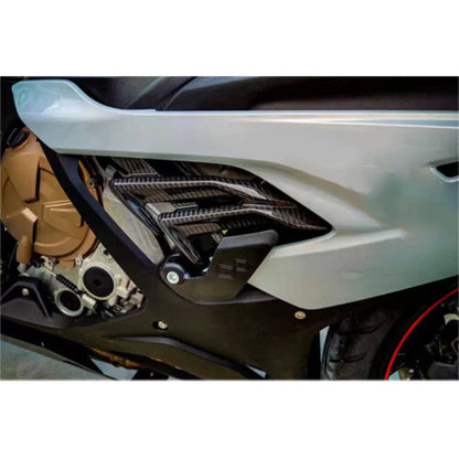 Carbon Fiber Texture Side Panel Fairing Cover for BMW S1000RR (2020-2022)