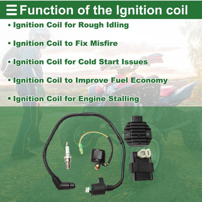 Ignition Coil for Honda TRX250X 2013-2019 (2 x Coils)