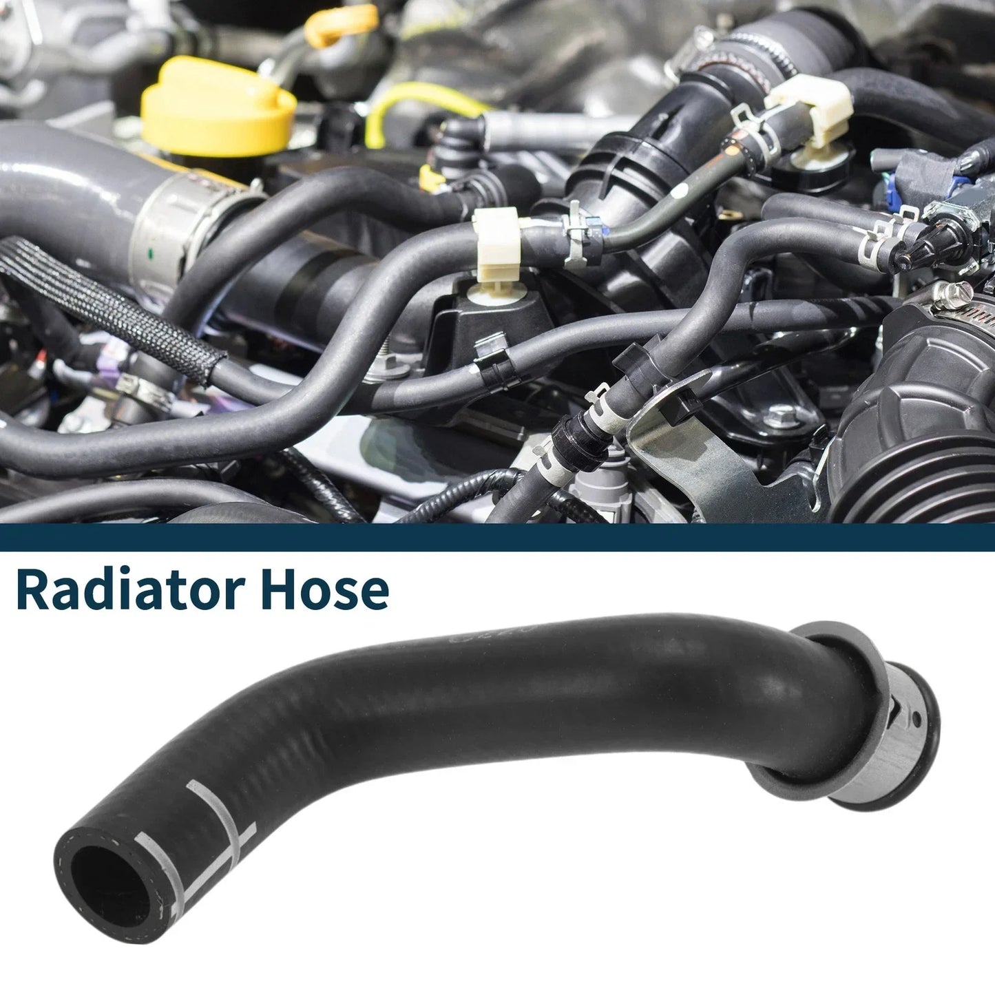 Radiator Hose for Porsche Panamera Cooling System (2010-2023)