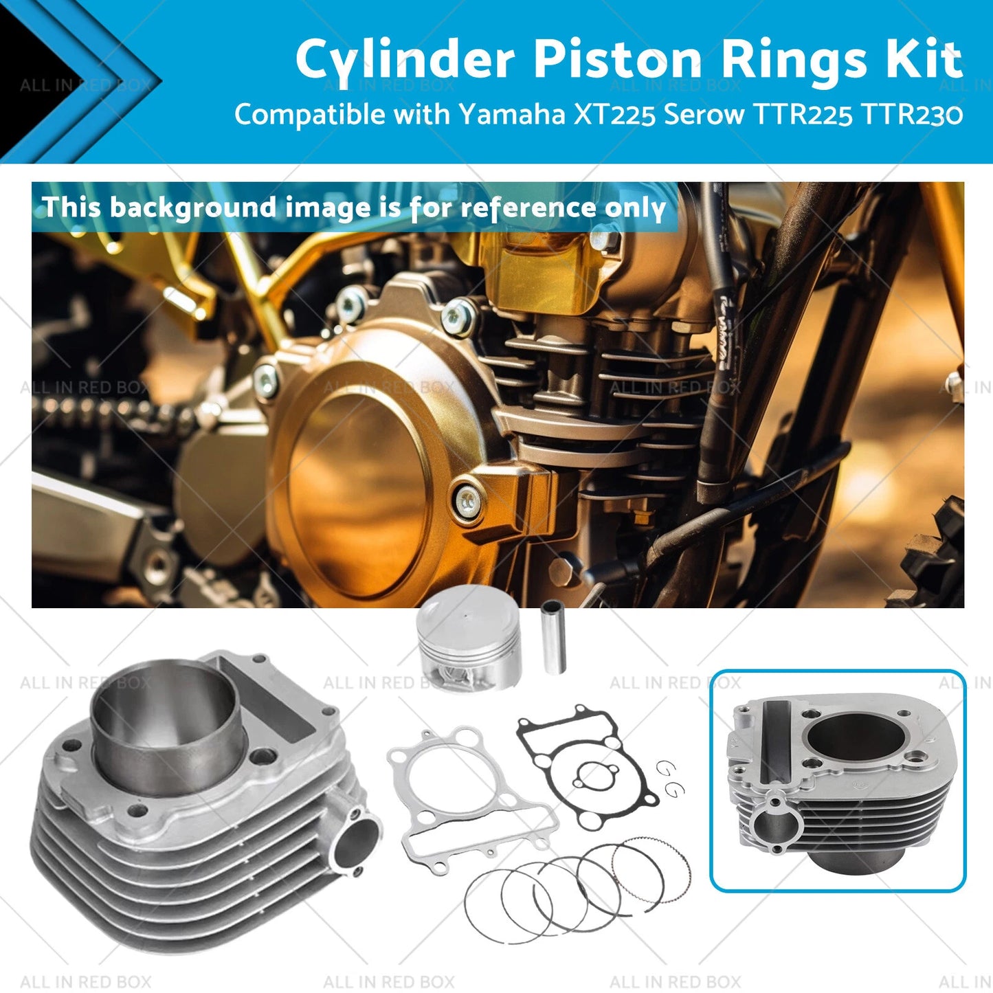 Piston Rings Kit for Yamaha XT225 TTR225 TTR230 (1999-2016)
