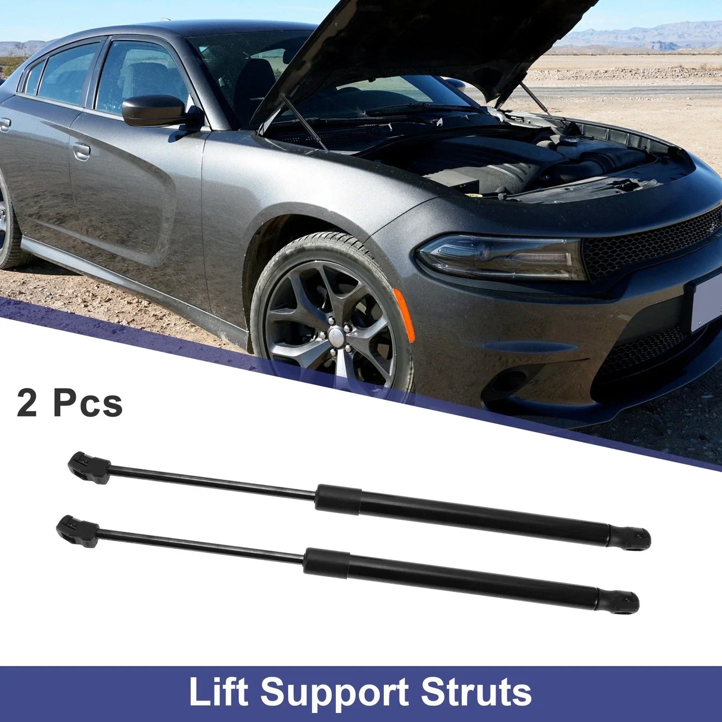 Tailgate Lift Support Struts Gas Spring for BMW X5 SUV (2007-2013)