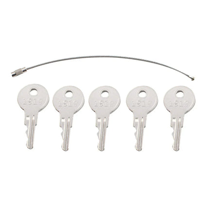 5 x Ignition Keys w/Key Ring for EZGO Golf Carts (1982 - Present)