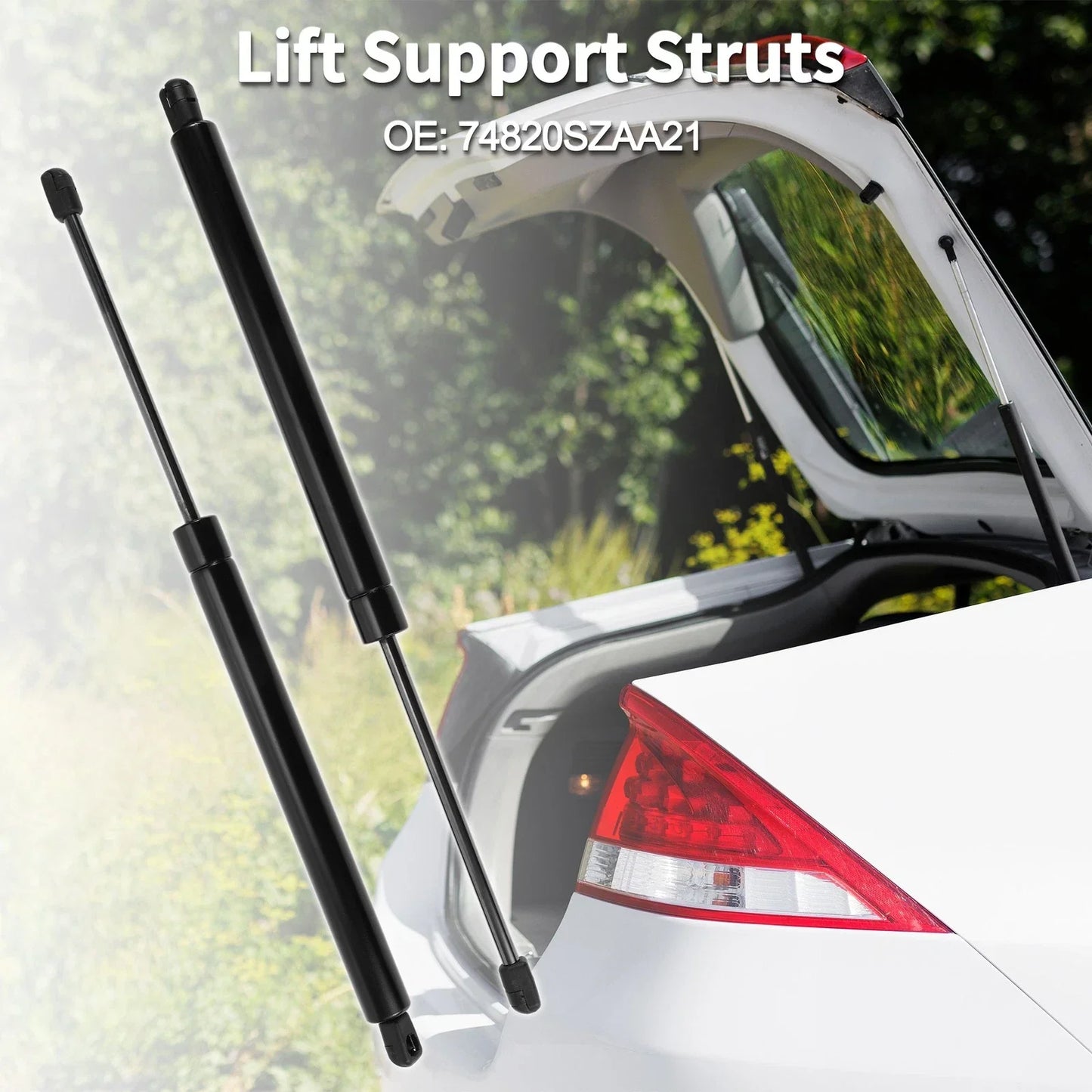 Rear Hatch Lift Supports for Honda Pilot Sport Utility (2016-2023)
