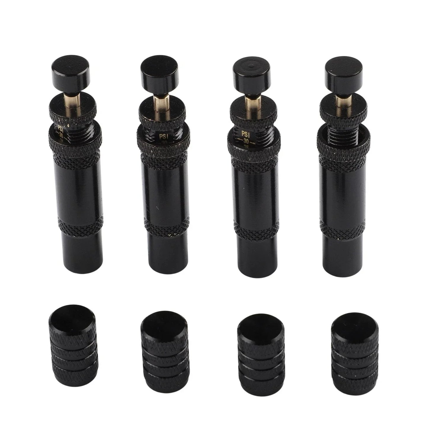 Tire Deflator Premium Brass for Off Road Adventures