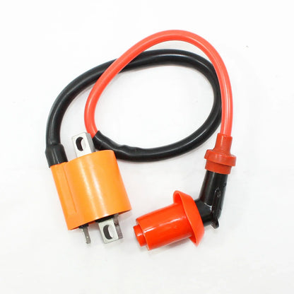 6 Pins CDI Unit + Coil for 150cc 250cc Pit Pro Quad Dirt Bike ATV Buggy