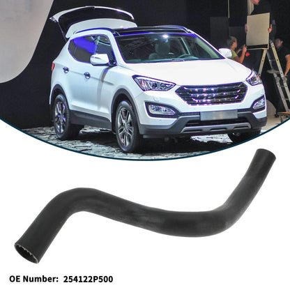 Radiator Hose for Hyundai Santa Fe 2009-2012