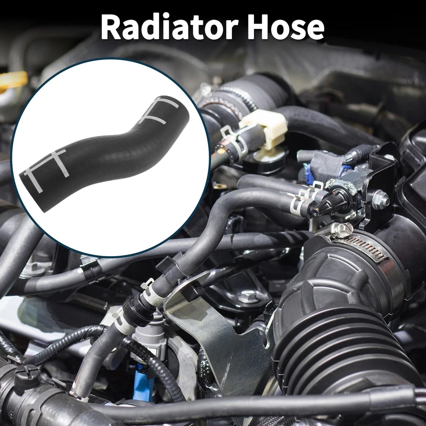 Radiator Hose for Porsche Panamera 2010-2014 Cooling System
