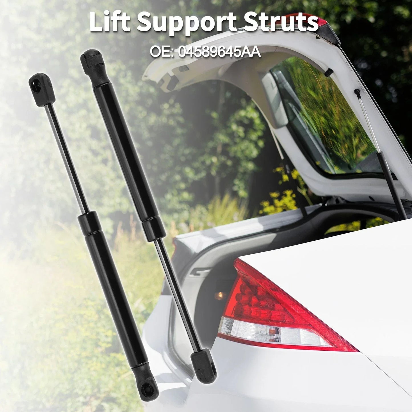 Rear Hatch Lift Supports for Dodge Challenger (2008-2021) - 2 x Struts