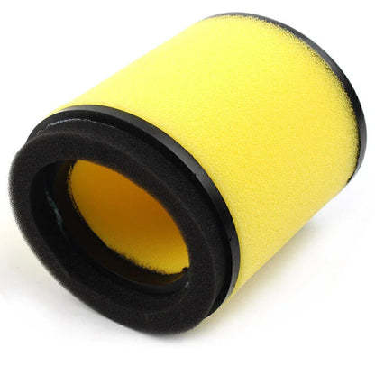 Air Filter for Arctic Cat ATV 250 300 2x4 4x4 (2000-2006)