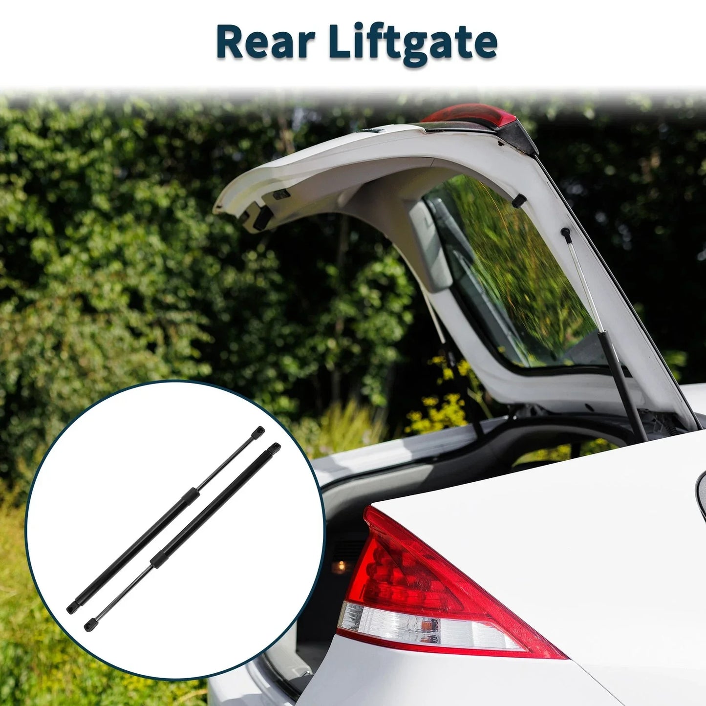 Rear Hatch Lift Supports for Dodge Nitro Sport Utility (2007-2011)