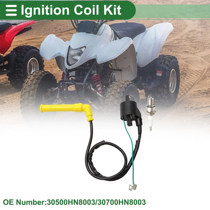 Ignition Coil for Honda Rincon 650 TRX650FA 4x4 (2003-2005) 1 x Set
