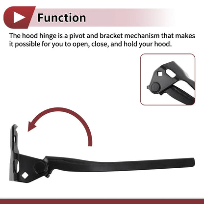 Hood Hinges for Honda Accord, Honda Crosstour (2008-2012) - 1 Pair