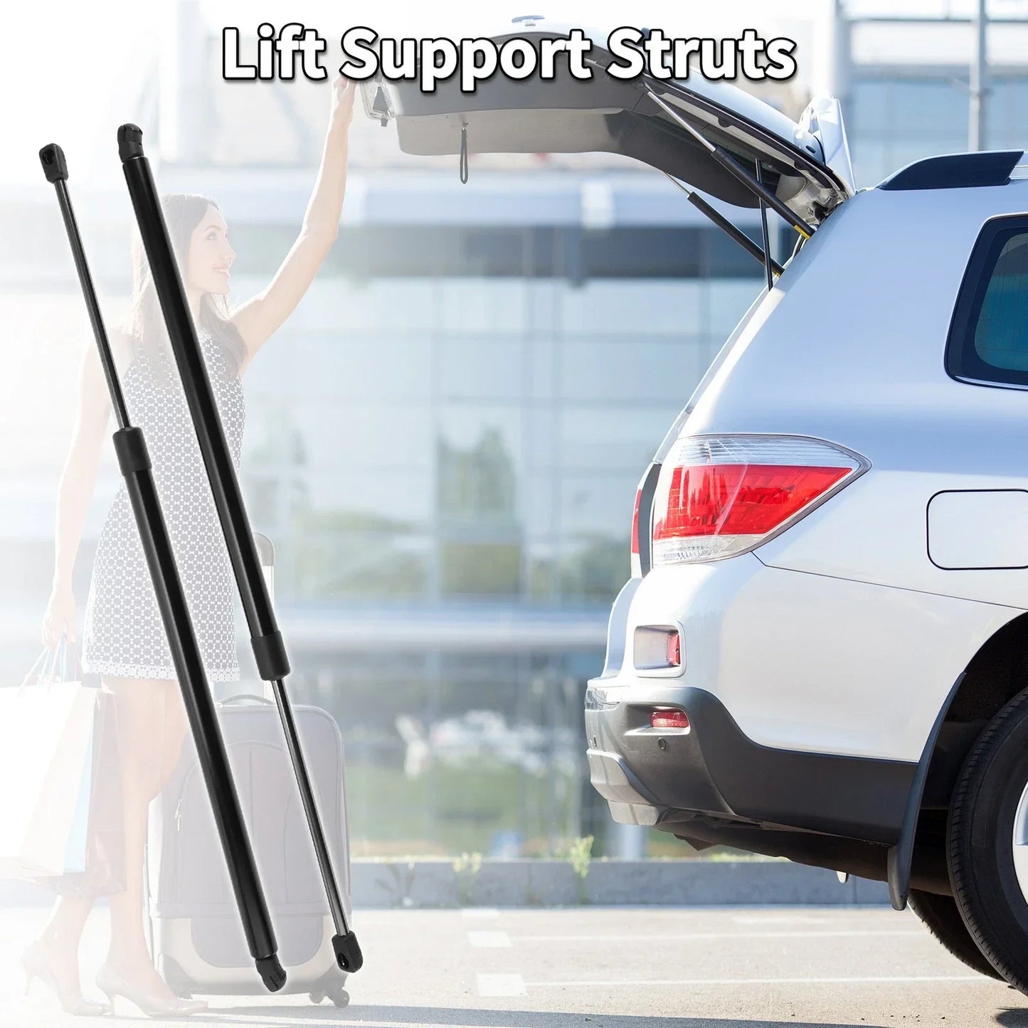 Rear Gate Lift Supports for Honda Pilot (2003-2008)