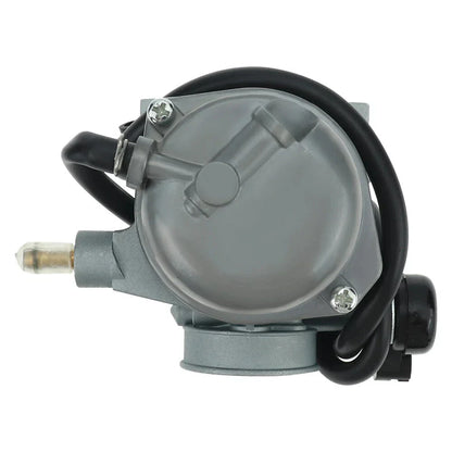 Carburetor & Fuel Filter for Honda CRF110 F (2013-2018)