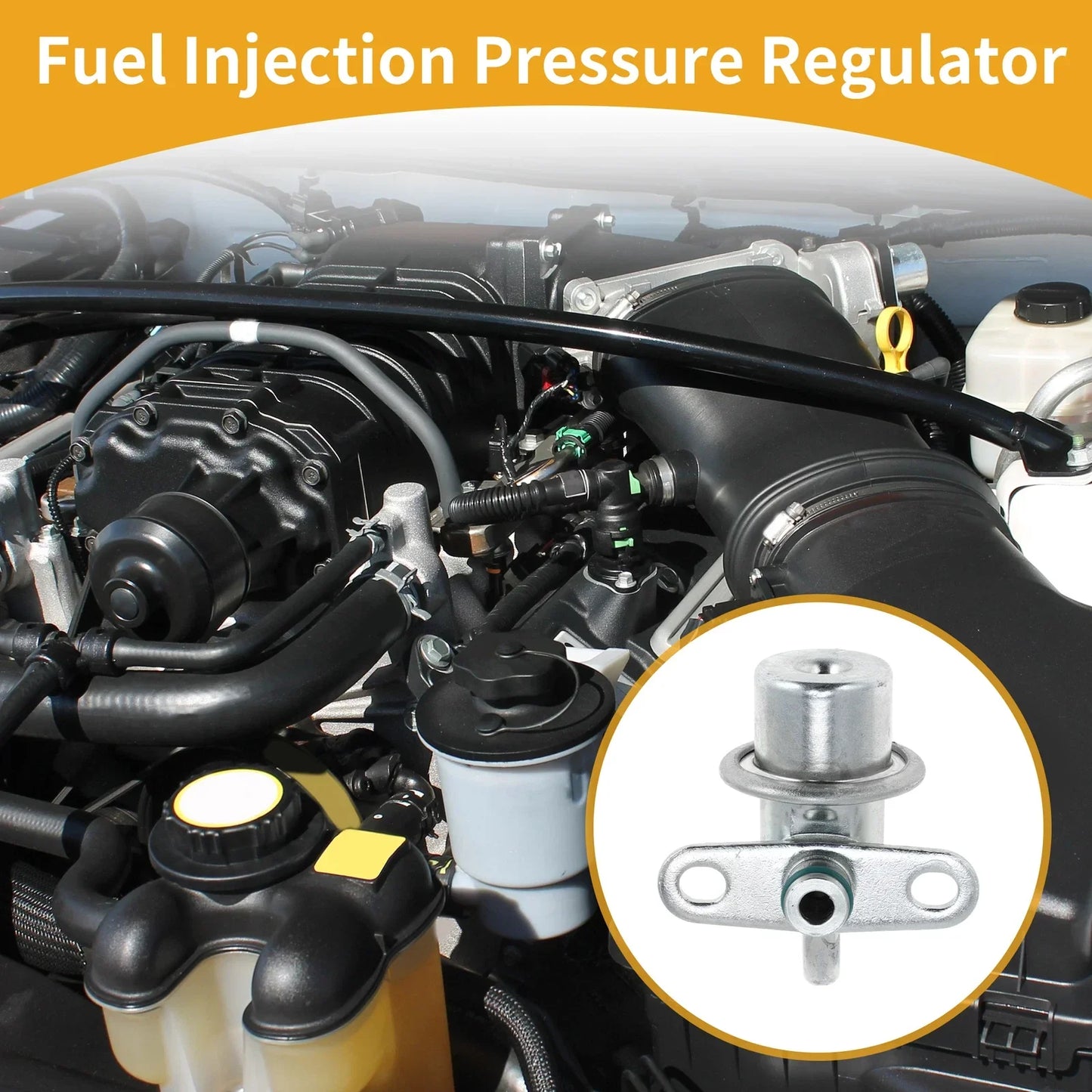 Fuel Pressure Regulator for Dodge B150 B250 D150 (1988-1995) 1 x Pc