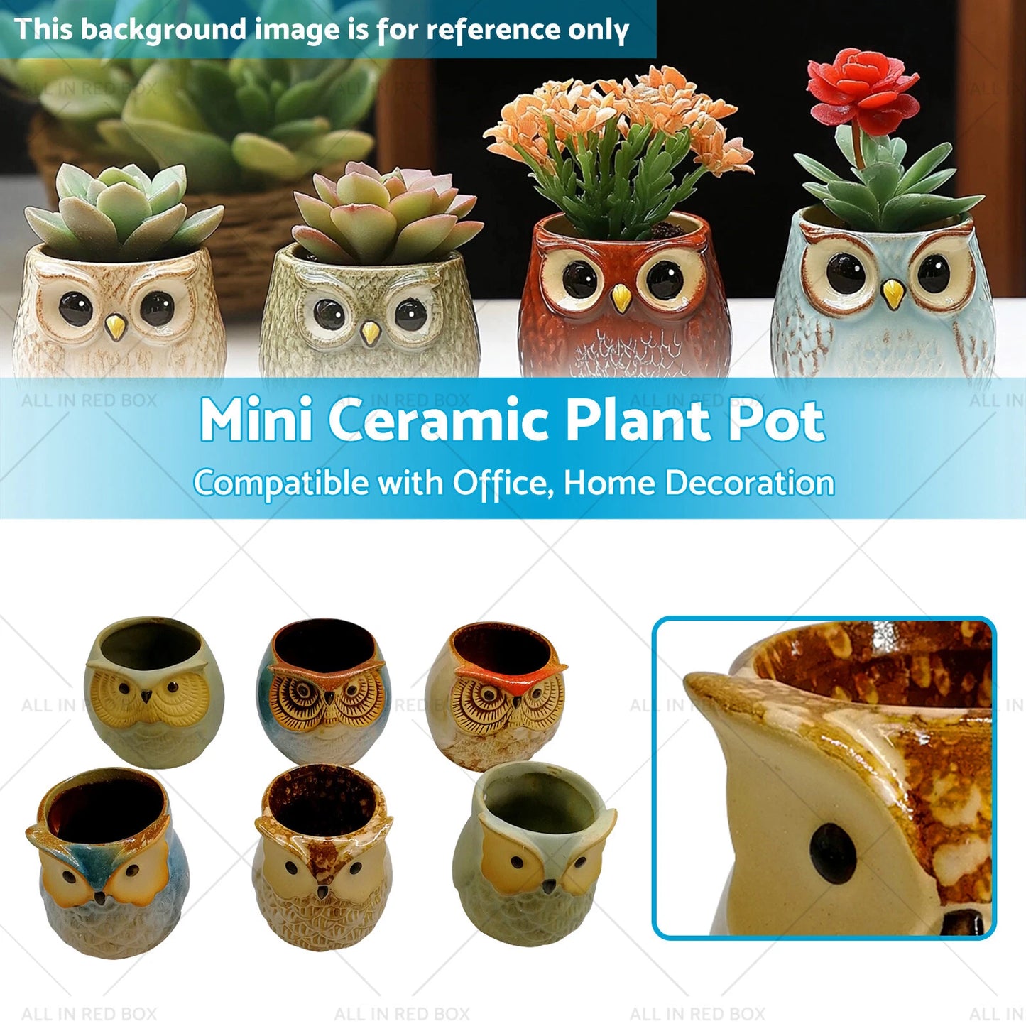 6 x Mini Ceramic Owl Plant Pots for Succulent Flower Home Decoration