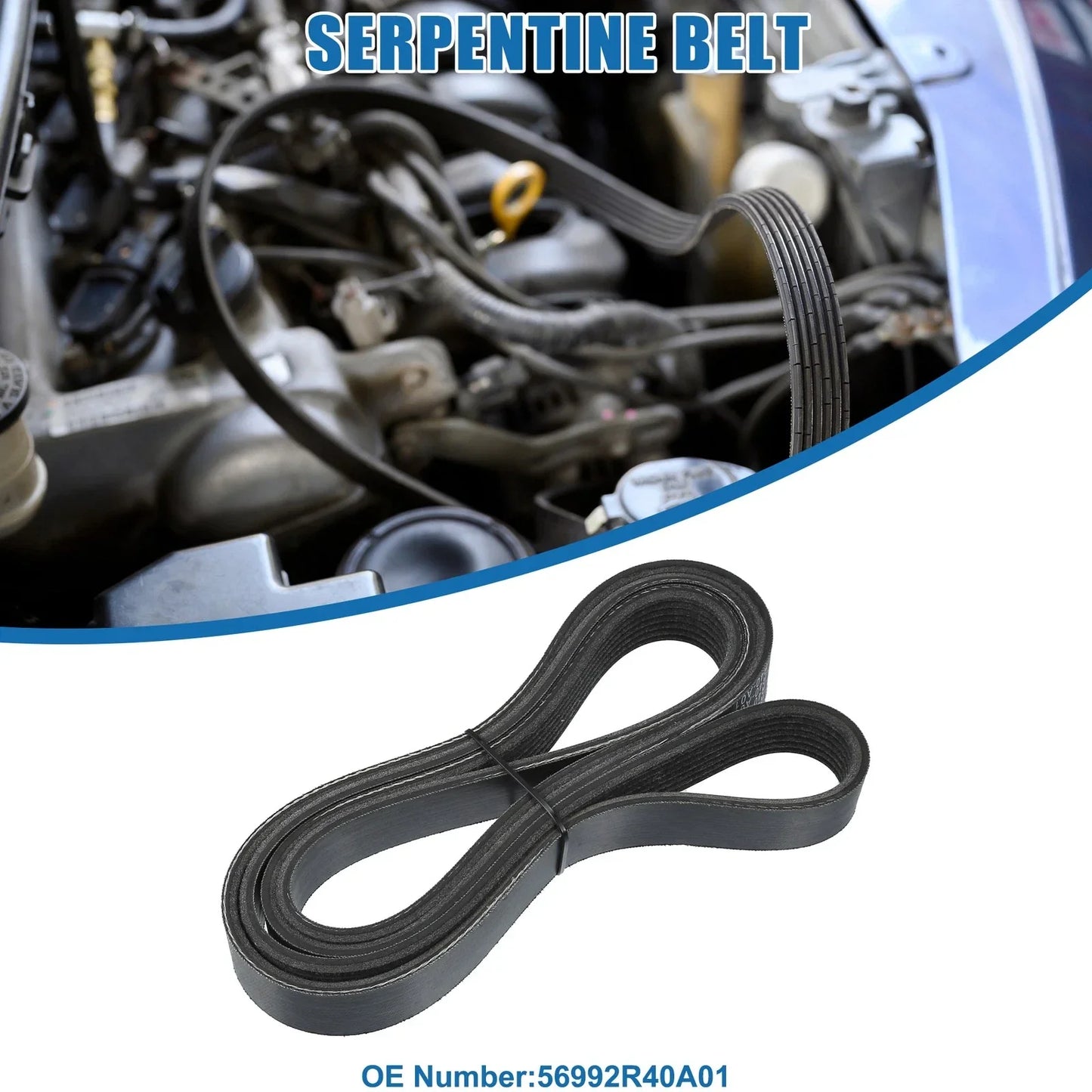 V-Ribbed Serpentine Belt for Honda Accord (2008-2012)