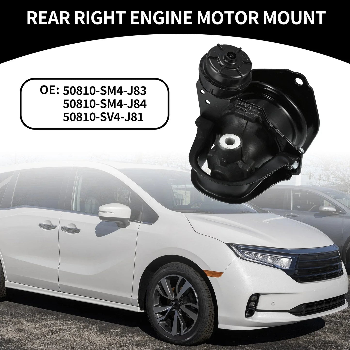 Rear Engine Mount for Honda Odyssey & Accord (1997-1998)