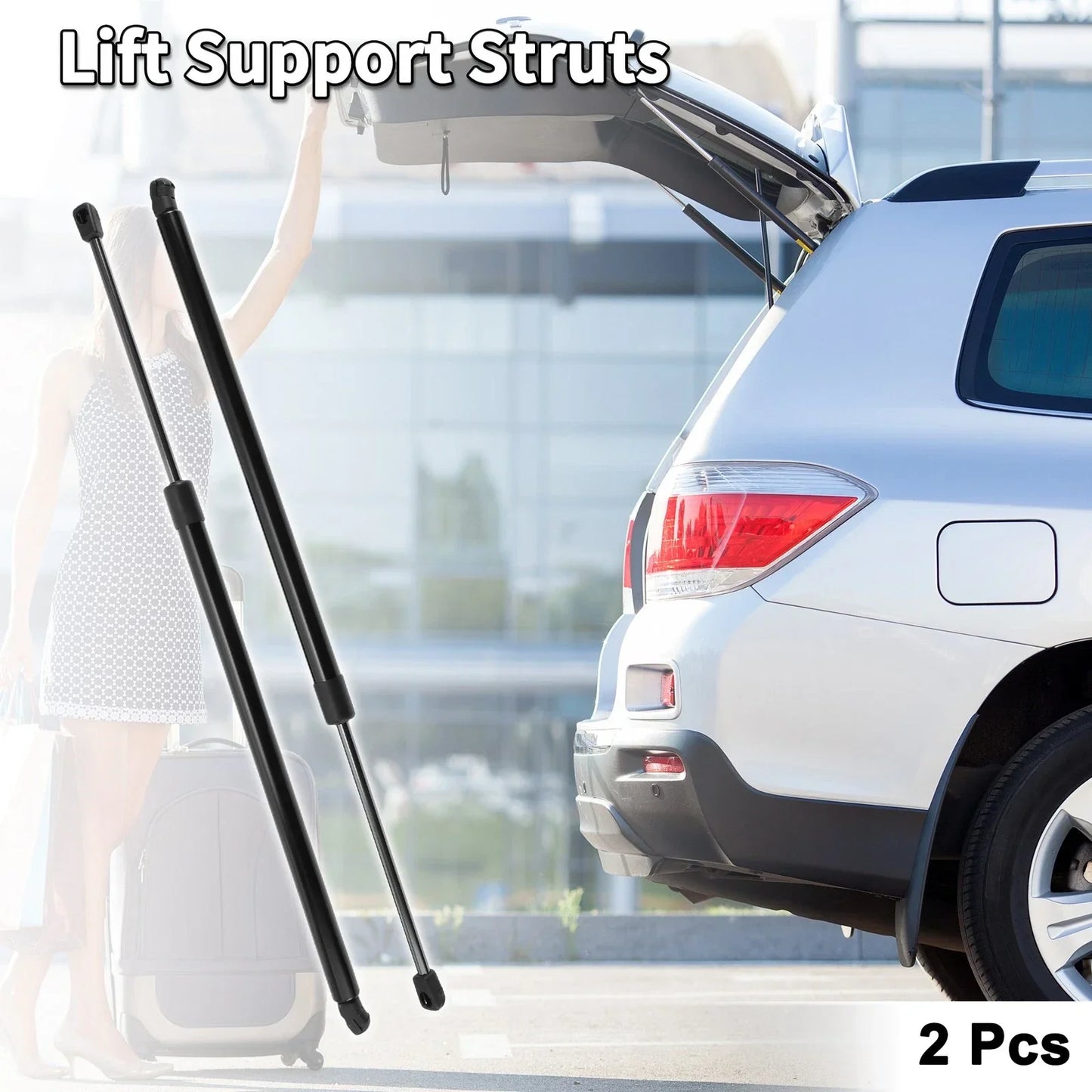 Rear Gate Lift Supports for Honda Pilot (2003-2008)