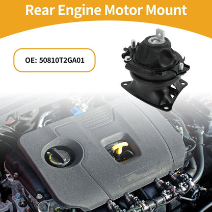 Engine Mount for Honda 9th Generation CR-V 2015-2016 3.0L