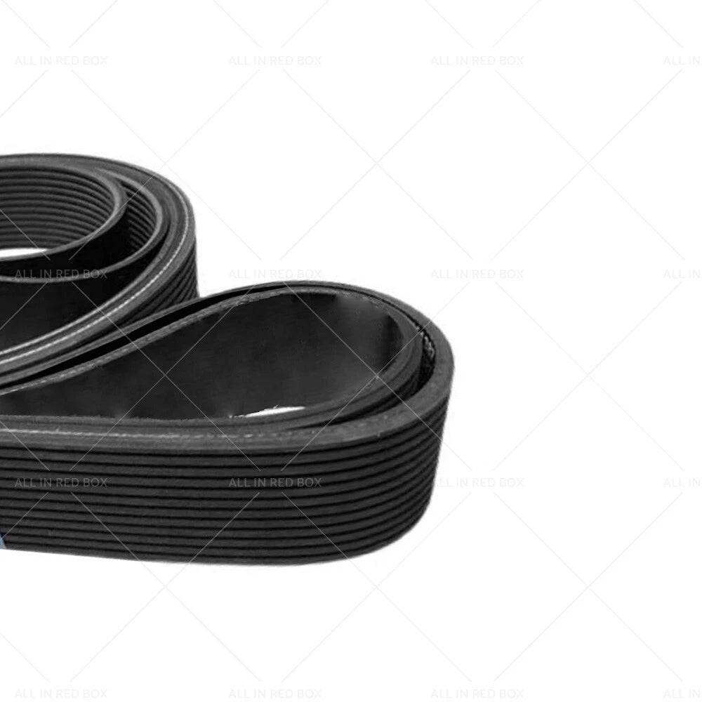 Drive Belt for Nissan Navara D40M, D40T, Pathfinder R51 (2005-2015)