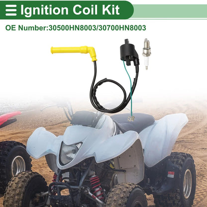 Ignition Coil for Honda Rincon 650 TRX650FA 4x4 (2003-2005) 1 x Set