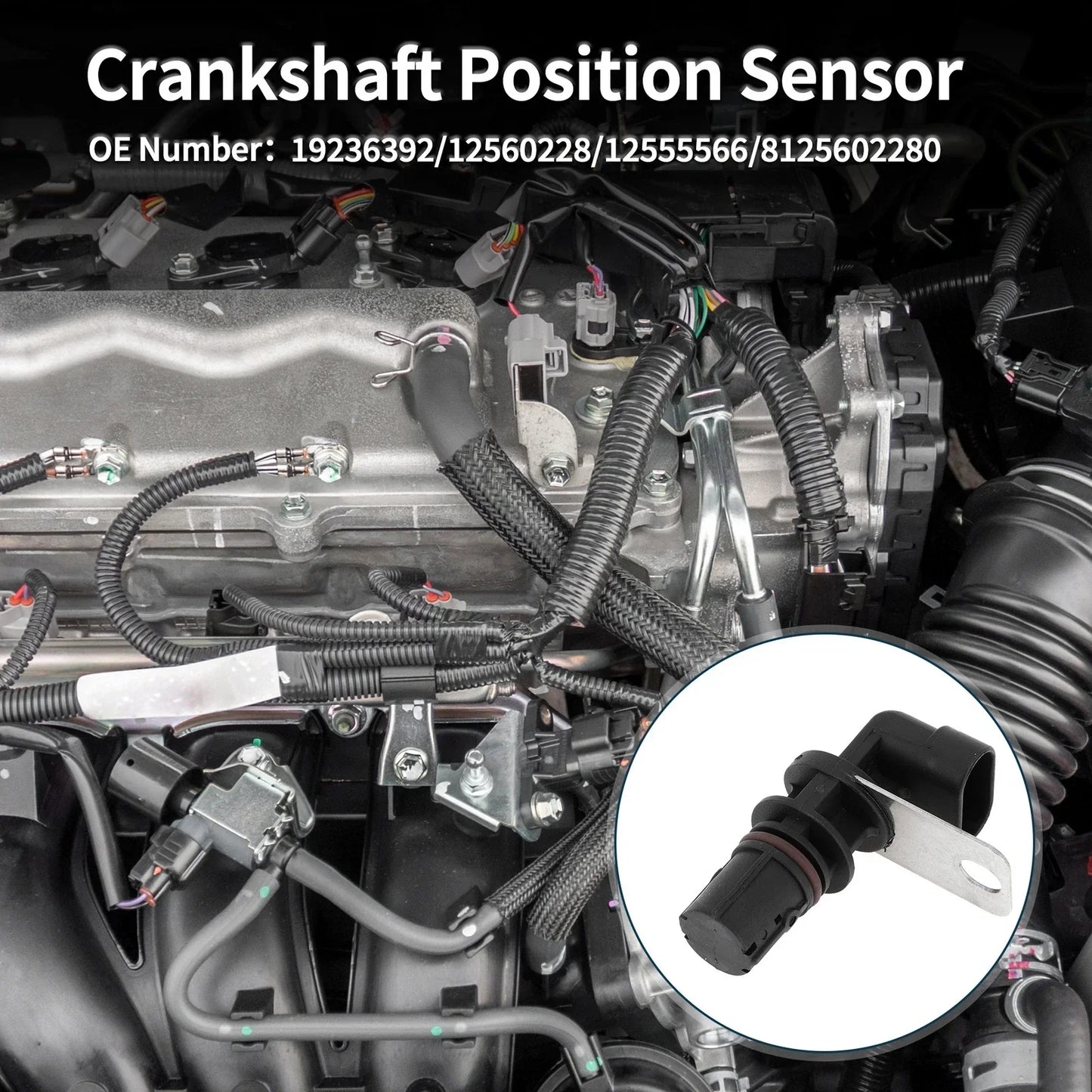 Crankshaft Position Sensor for Chevy Silverado 1500 4.8L 5.3L (1999-2005)
