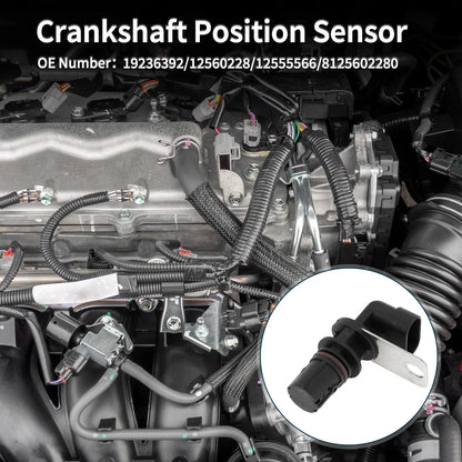 Crankshaft Position Sensor for Chevy Silverado 1500 4.8L 5.3L (1999-2005)